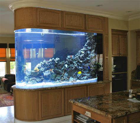 aquarium advice|Home .